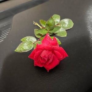 Meet your Posher, Teri